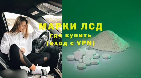 индика Арсеньев