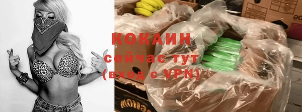 дживик Аркадак