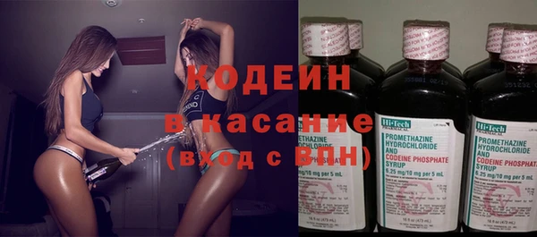 индика Арсеньев