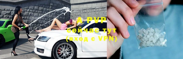 индика Арсеньев
