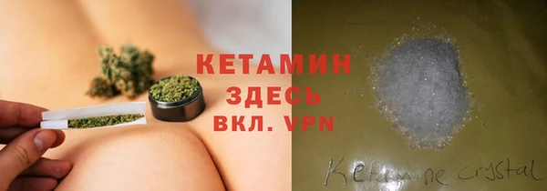 индика Арсеньев