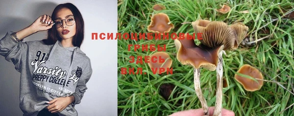 индика Арсеньев
