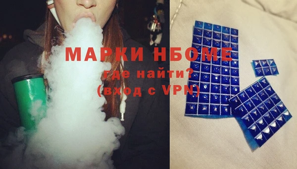 индика Арсеньев