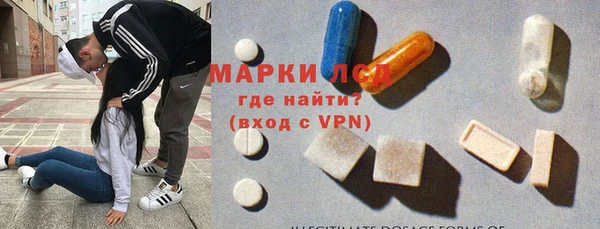 индика Арсеньев
