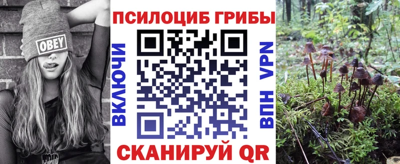 Галлюциногенные грибы MAGIC MUSHROOMS  Россошь 