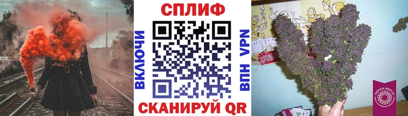 где купить наркоту  Россошь  Шишки марихуана гибрид 